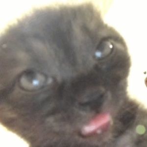 Meet your Posher, Sara